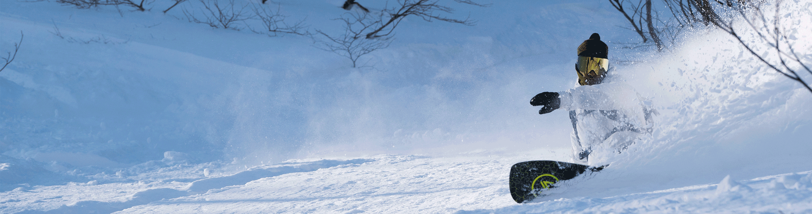 Snowboard Goggles - GearFreak