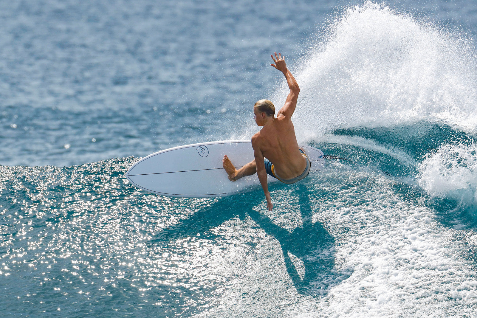 Surf - GearFreak