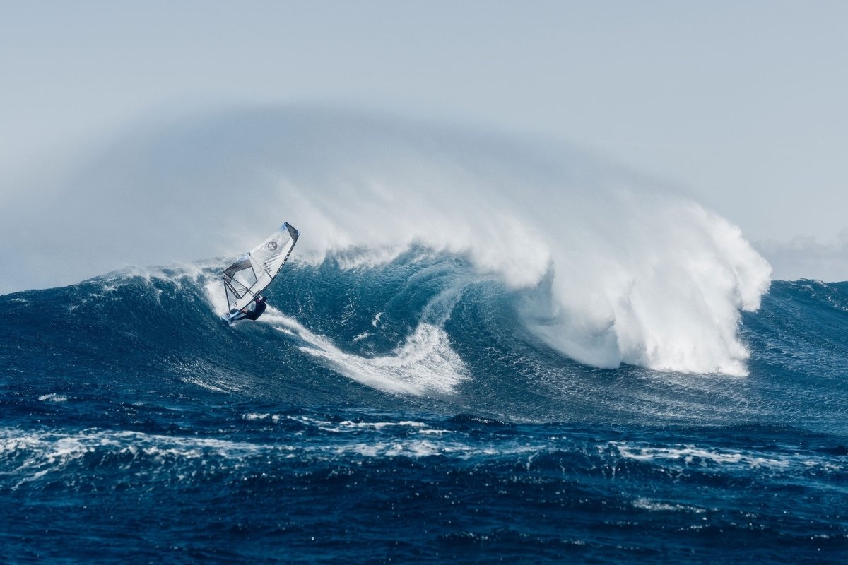 North - Wave Clear 2024 - White - GearFreak