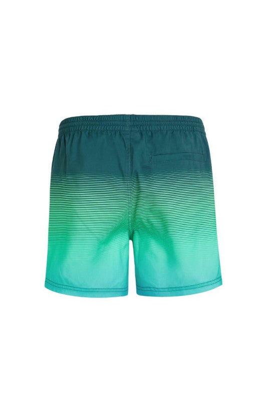 O'Neill - Cali Gradient 15" Swim Shorts | Beetle Juice Simple Gradient Panel - S - GearFreak