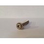 Simmer Style Footstrap Screw